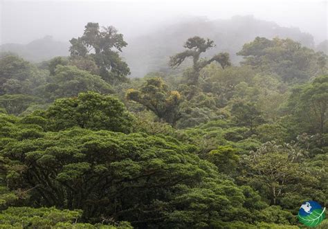 Monteverde Costa Rica - Cloud Forest Biological Reserve