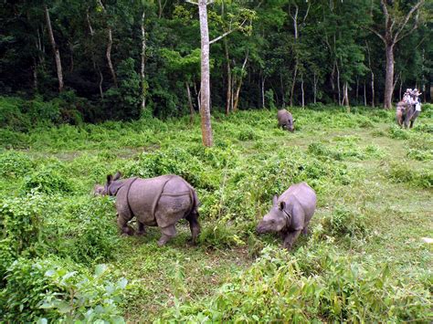 Nepal: Bardia National Park