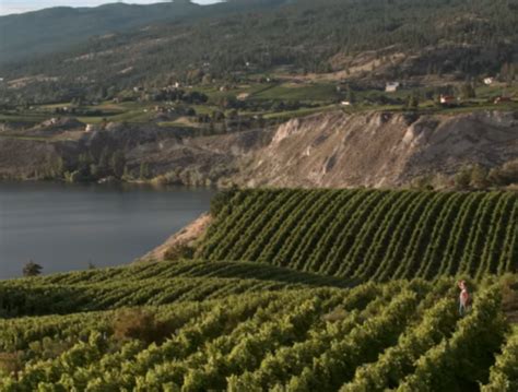 Vineyards in BC’s Okanagan Valley – Beautiful British Columbia