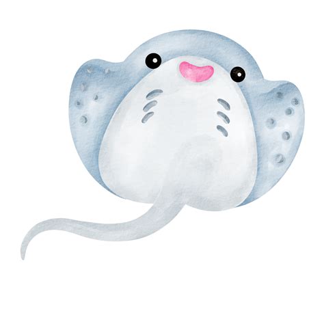 stingray watercolor sea animal clip art 16765710 PNG