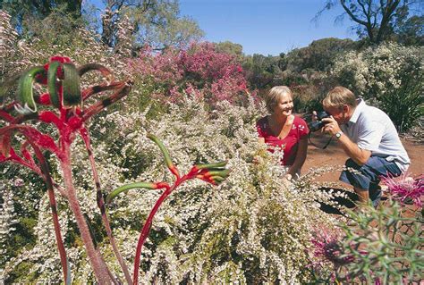 4 Flower Festivals Worth a Visit in Australia