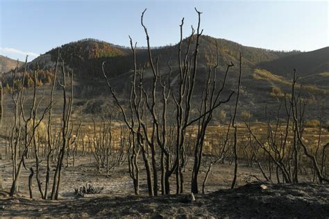 Massive Colorado snowstorm won't be enough to bring state out of drought