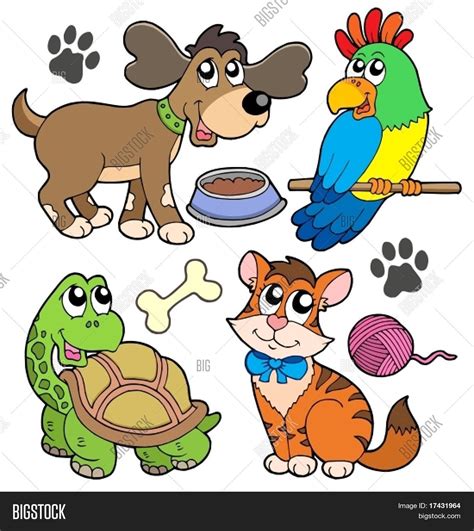 Pet Collection - Vector & Photo (Free Trial) | Bigstock