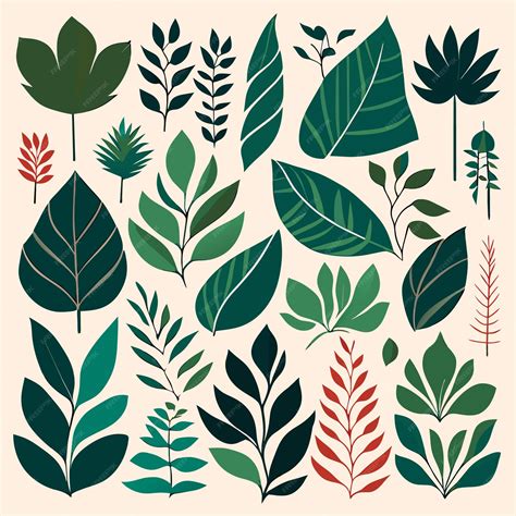 Premium Vector | Rainforest leaf shapes digital art vector illustrations