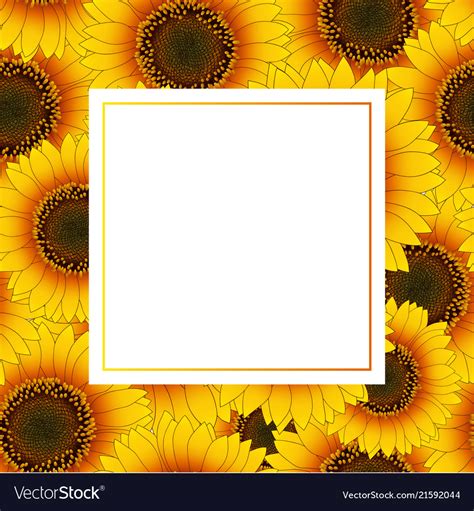 Orange yellow sunflower banner card Royalty Free Vector