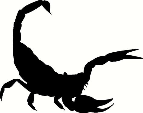 Scorpion Silhouette wall sticker, vinyl decal | The Wall Works