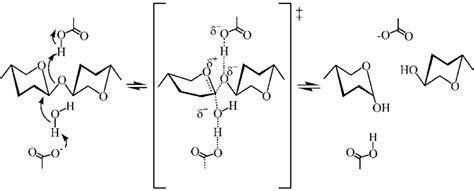 General mechanism for inverting glycosidases. The Figure was prepared... | Download Scientific ...