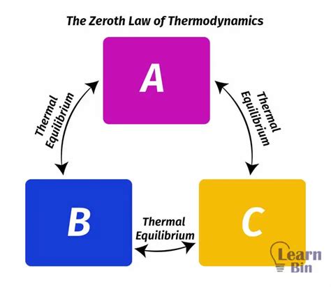 The Zeroth Law Of Thermodynamics – The Concept Of Temperature | Learnbin