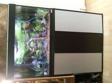 W Midlands - Fluval roma 125 aquarium and accessories | Reptile Forums