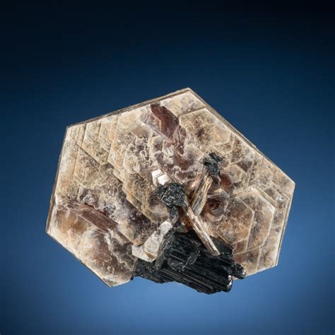 Muscovite Mica, Schorl Tourmaline, Mantena, Minas Gerais, Brazil