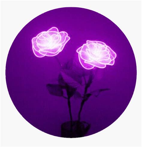 #aesthetic #tumblr #purple #circle - Purple Aesthetics, HD Png Download , Transparent Png Image ...