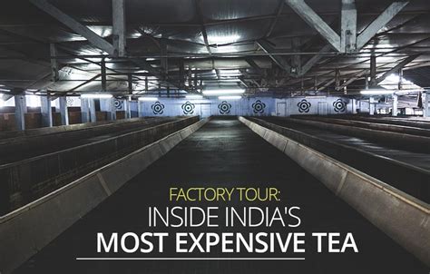 Factory Tour: Inside India's Most Expensive Tea | Castaway with Crystal