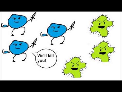 Immune System Animation