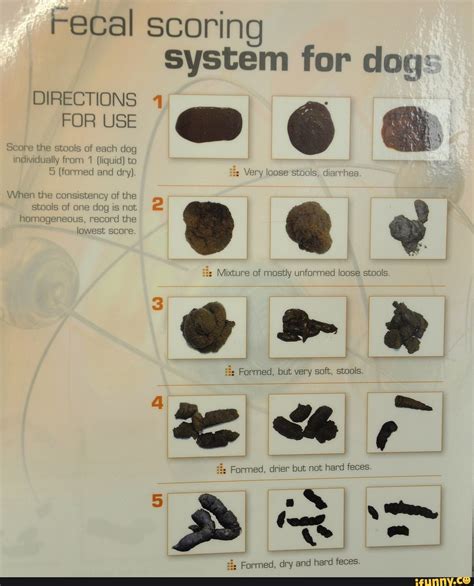 and can you imagine the trophy? - Fecal scoring system for dog ...