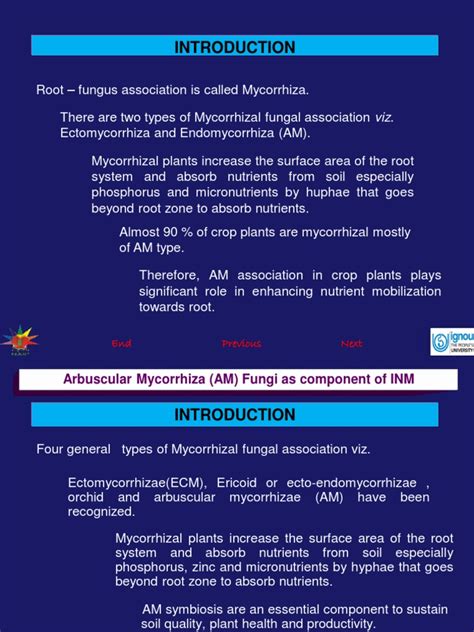 Arbuscular Mycorrhizae As A Component of INM - 2 | PDF | Soil Science ...