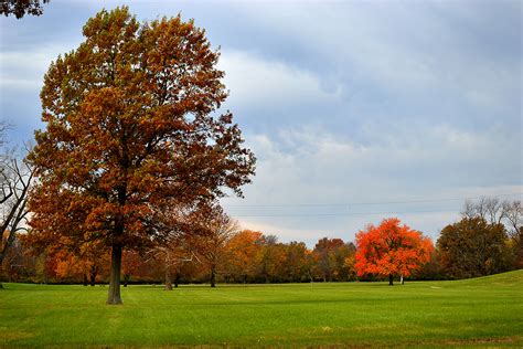 Cahokia Mounds Historic Site - Cape Girardeau History and Photos