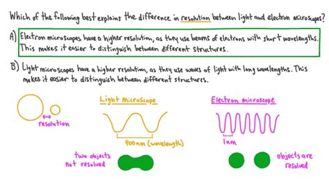 What is the Resolution of a Brightfield Microscope? - A Guide to ...