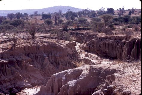 Elevation map of Dodoma Region, Tanzania - Topographic Map - Altitude Map