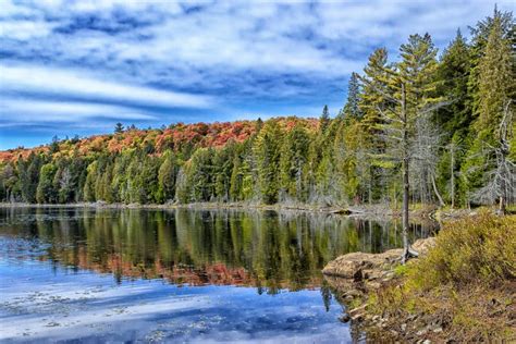 Fall Colours in Algonquin Provincial Park Stock Photo - Image of fall ...