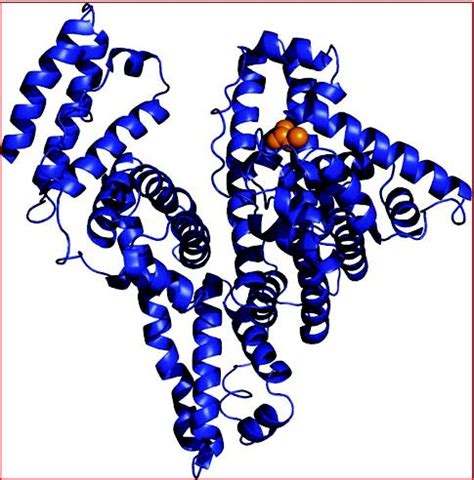 World of Biochemistry (blog about biochemistry): Albumin