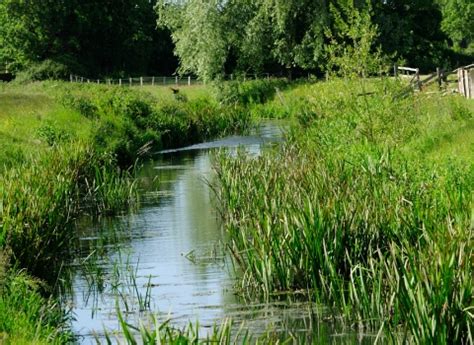 Wildlife | Gloucestershire Wildlife Trust