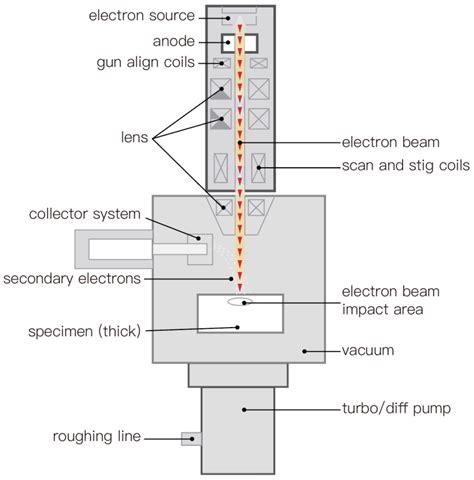 Spherical Aberration and Transmission Electron Microscopy (TEM) - Light Microscopes, Electron ...