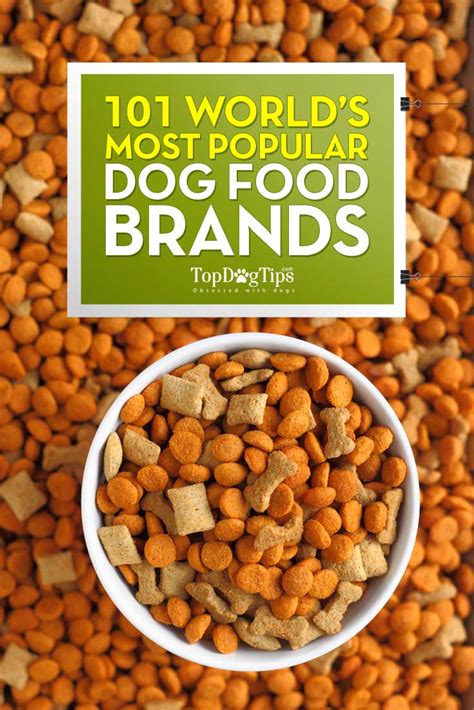Discover the Top 10 Popular Brands of Dog Food for a Healthier and Happier Pup! - Furry Folly