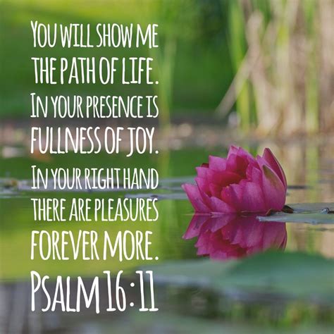 Psalm 16:11, You make known to me the path of life; you will fill me ...