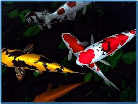 Koi Fish Pond Screensaver - Download-Screensavers.biz