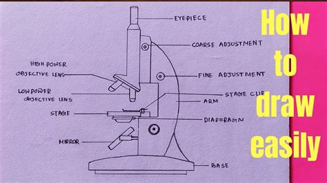 Easy Labeled Simple Sketch Compound Microscope Diagram Micropedia ...