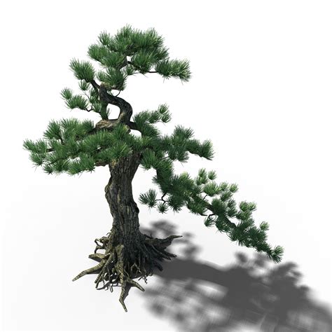 ArtStation - Trees - Huanglongshan Pine 02 | Game Assets