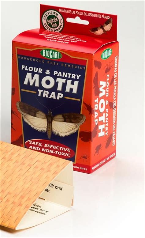 Pantry Moth Trap | Pantry moths, Wasp traps, Household helpers