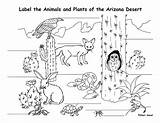 7 Best Images Of Animal Habitats Coloring Printables  Habitat sketch template