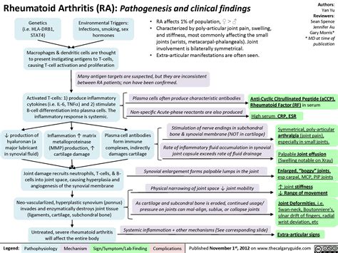 Rheumatoid arthritis (RA): Pathogenesis and Joint diseases features ...