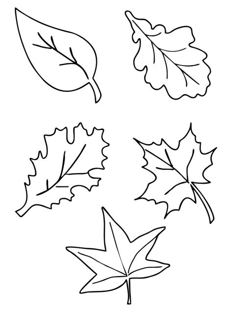 Free Fall Leaf Template - Printable Word Searches