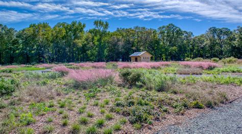 Meadow Garden Circle Membership - $1200 — Delaware Botanic Gardens