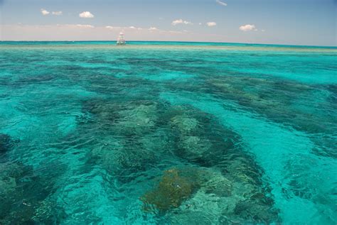 Miami Daycation: Exploring John Pennekamp Coral Reef State Park