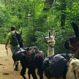 Grotto Falls Trail - Tennessee | AllTrails