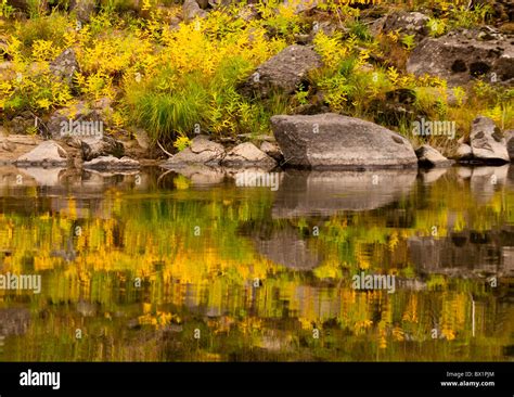 Clearwater river trail hi-res stock photography and images - Alamy