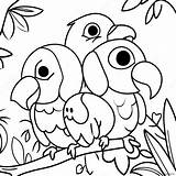 Colorful Parrots In The Rainforest Coloring Page 63654 50362 sketch template