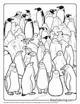 100  Penguin coloring Pages Free PDF To Print Woo Coloring sketch template