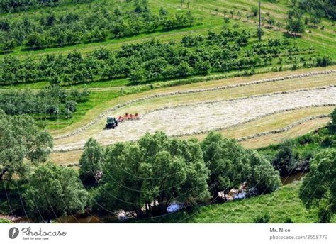 Haymaking Hay harvest - a Royalty Free Stock Photo from Photocase