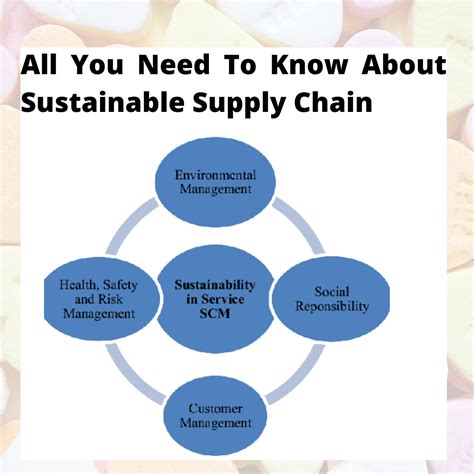 All You Need To Know About Sustainable Supply Chain