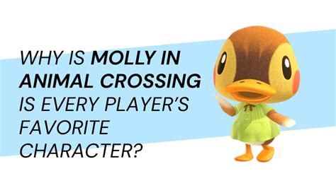 Why is Molly in Animal Crossing Is Every Player’s Favorite Character?