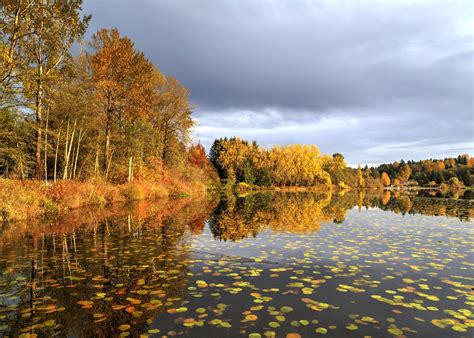 Visit Deer Lake on a trip to Canada | Audley Travel UK