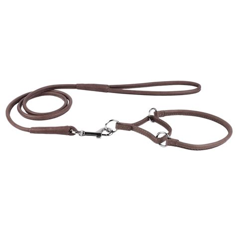 Leather Grey Martingale Collar Leash Set Manufacturers in India