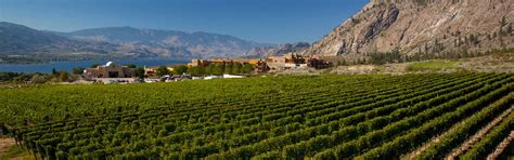 Osoyoos Wine Region of British Columbia | Wine BC