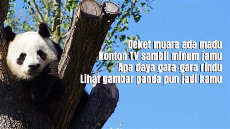 20 Pantun Lucu Banget yang Bikin Ngakak Nggak Berhenti | KepoGaul