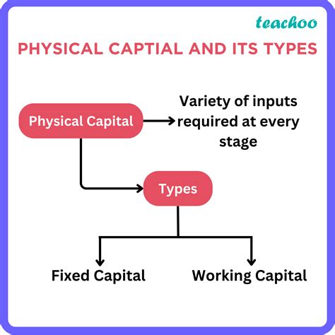 Explain the meaning of ‘Physical Capital’. Explain its 2 types