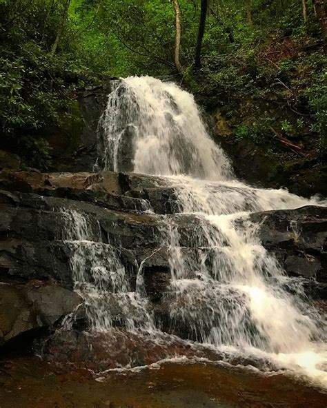 Laurel Falls Trail | Review w/ Photos & High Resolution Video